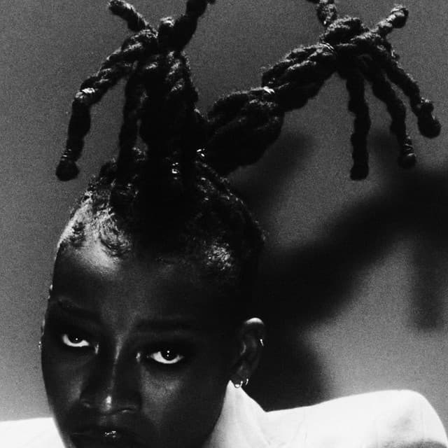 Little Simz 사진