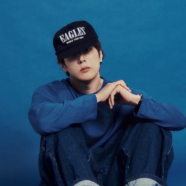 pH-1 사진