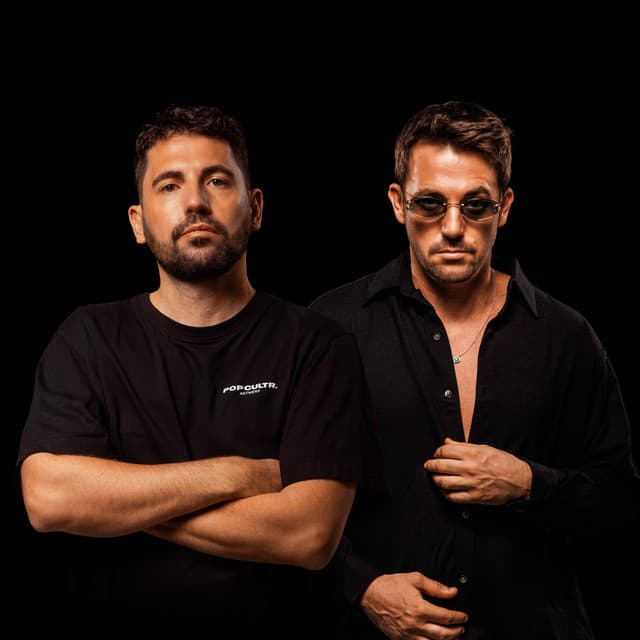 Dimitri Vegas & Like Mike 사진