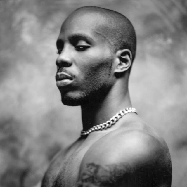 DMX 사진
