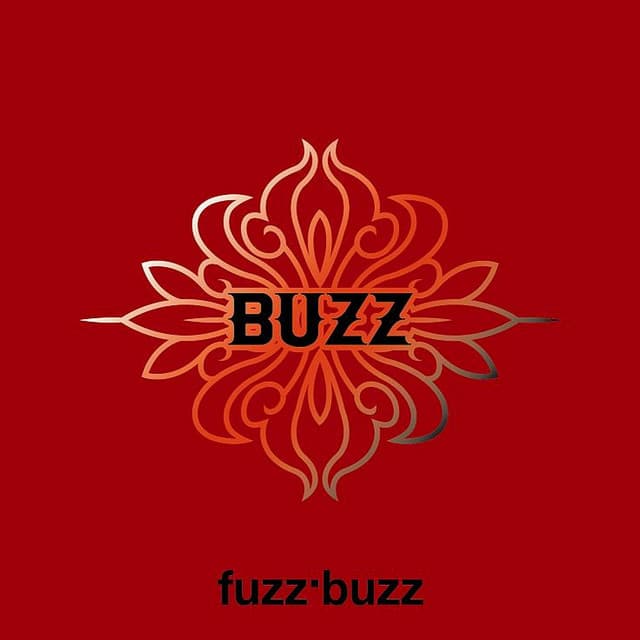 fuzz . Buzz 커버