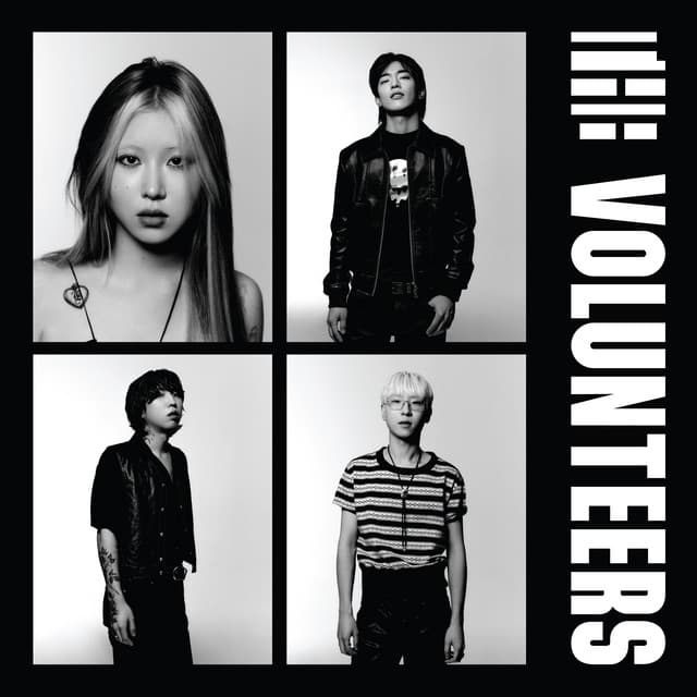 The Volunteers 커버