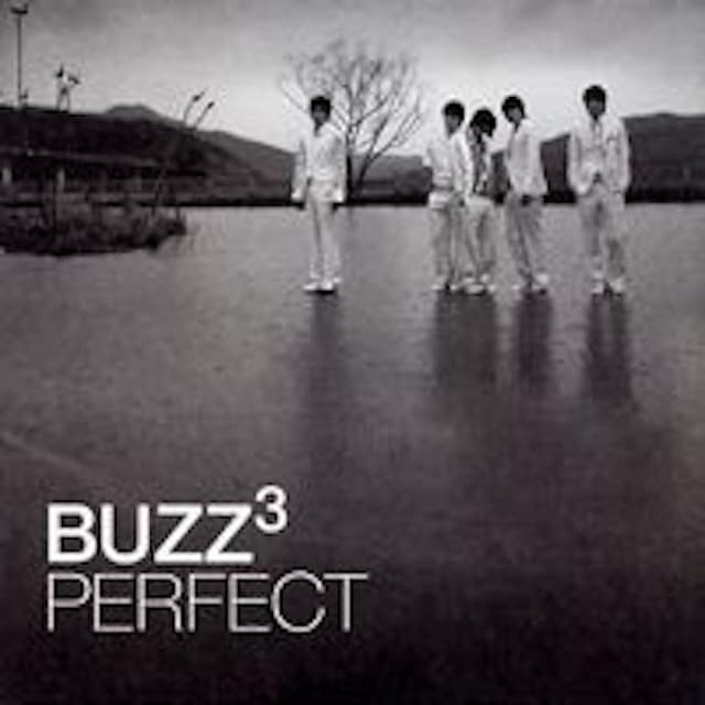 Perfect 커버