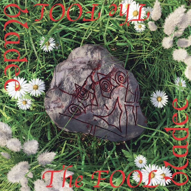 The Fool 커버
