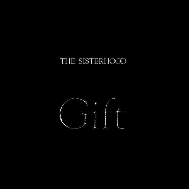The Sisterhood 사진