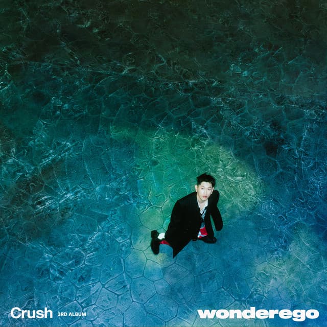 wonderego 커버