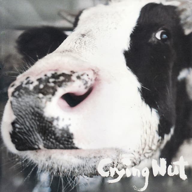 OK 목장의 젖소 Milk Cattle at the OK Corral 커버