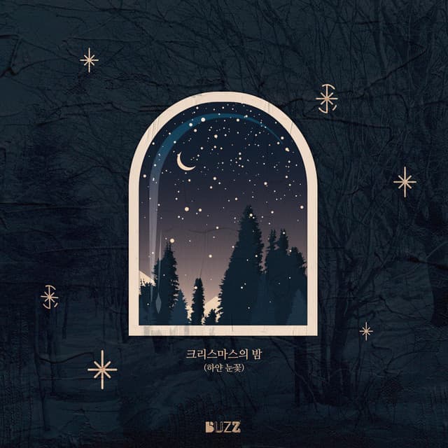 크리스마스의 밤 (하얀 눈꽃) 커버