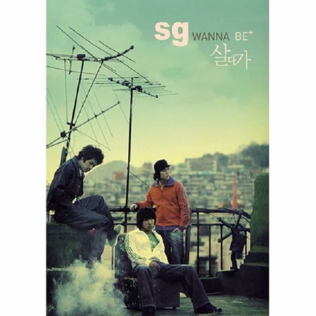 살다가 커버