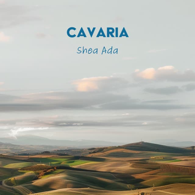 Cavaria 커버
