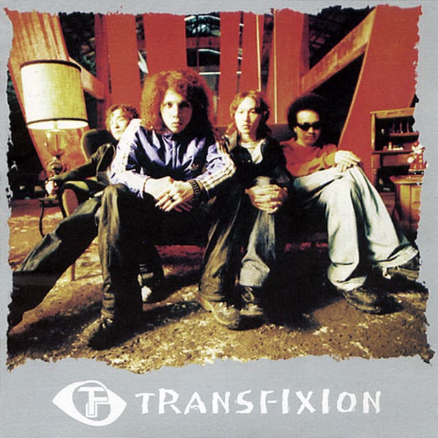 TransFixion 사진