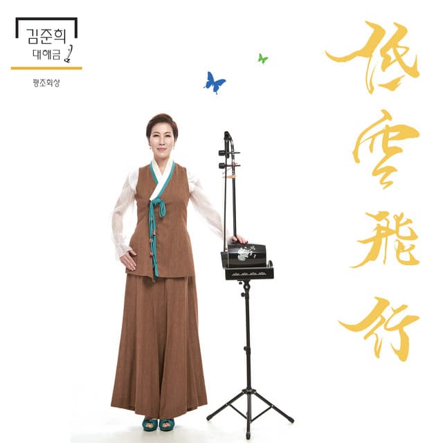 김준희 대해금 "저공비행 평조회상" 커버