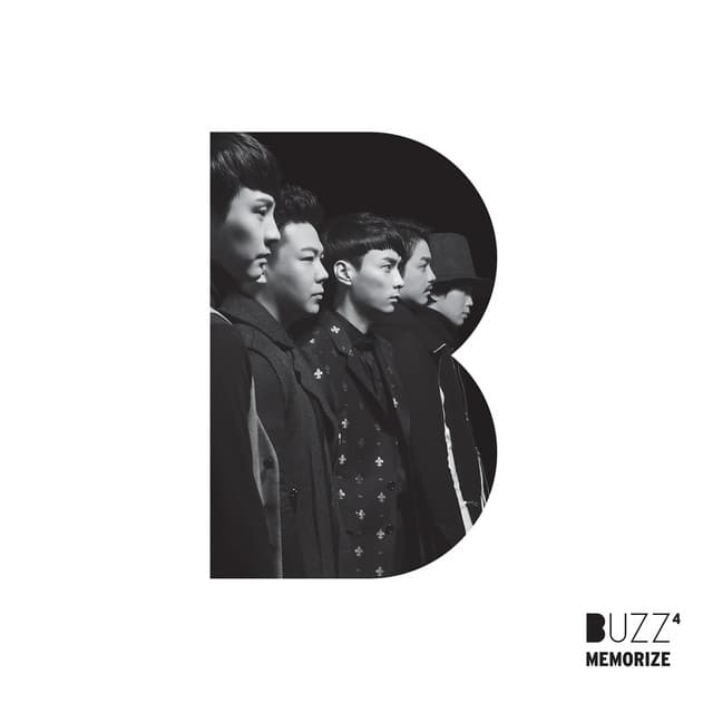 Memorize 커버